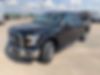 1FTEX1EPXGKE13698-2016-ford-f-150-2