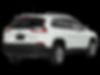 1C4PJMBXXLD621000-2020-jeep-cherokee-1