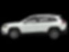 1C4PJMBXXLD621000-2020-jeep-cherokee-2