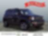 ZACNJBC12LPL02579-2020-jeep-renegade