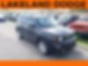 ZACNJABB2LPL30385-2020-jeep-renegade-0