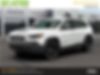 1C4PJMBX6LD627019-2020-jeep-cherokee-0