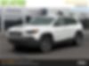 1C4PJMBX7LD622038-2020-jeep-cherokee-0