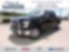 1FTEW1CP6GKF98175-2016-ford-f-150-0