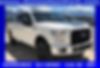 1FTEW1EF5GFA02955-2016-ford-f-150-0