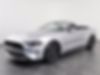 1FATP8UHXK5170675-2019-ford-mustang-1