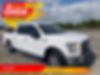 1FTEW1CP4FKE01499-2015-ford-f-150-0