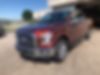 1FTEW1EP6HFB03366-2017-ford-f-150-0