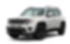 ZACNJBBB8LPL56172-2020-jeep-renegade