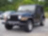 1J4FA39SX2P776234-2002-jeep-wrangler-2