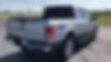 1FTEW1EP0HFB75714-2017-ford-f-150-1