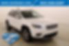 1C4PJMDX2KD303514-2019-jeep-cherokee-0
