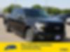 1FTEW1CP0FKF03334-2015-ford-f-150-0