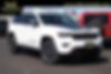 1C4RJFLG6LC335041-2020-jeep-grand-cherokee-0