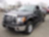 1FTFW1ET1CKD01631-2012-ford-f-150-2
