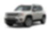 ZACNJBD17LPL72559-2020-jeep-renegade
