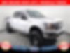 1FTEW1CP4KKF22978-2019-ford-f-150-0