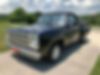 D13AE9S225556-1979-dodge-other-pickups-0