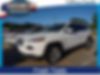 1C4PJLDB9HW547544-2017-jeep-cherokee-1