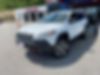 1C4PJMBS8EW182262-2014-jeep-cherokee-1