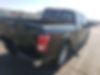 1FTEW1EP5HFB75563-2017-ford-f-150-1