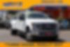 1FT8W3DT6LEC22427-2020-ford-super-duty-0