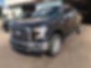 1FTEW1EP6HFC44115-2017-ford-f-150-0
