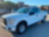 1FTEX1EP5HFC28565-2017-ford-f-150