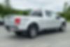 1FTEX1EP9HFC28441-2017-ford-f-150-2
