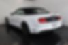 1FATP8UHXK5150877-2019-ford-mustang-1