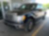 1FTFW1ET5DFB40467-2013-ford-f-150-0