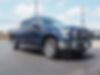 1FTEW1EP9GFC98698-2016-ford-f-150-0