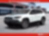 1C4PJMBX3LD562632-2020-jeep-cherokee