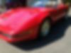 1G1YZ23J7M5801423-1991-chevrolet-corvette-2