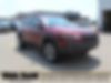 1C4PJMBX6LD627036-2020-jeep-cherokee-0