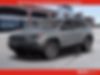1C4PJMBXXLD627315-2020-jeep-cherokee