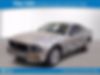 1ZVHT80N285111696-2008-ford-mustang-0
