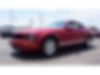 1ZVHT80N185192240-2008-ford-mustang-2