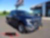 1FTEW1EP3HKD00308-2017-ford-f150-0