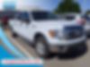 1FTFW1ET0DKD10404-2013-ford-f-150-0