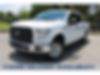1FTEW1EP0HFA27255-2017-ford-f-150-0