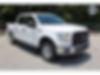 1FTEW1EP0HFA27255-2017-ford-f-150-0
