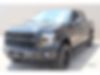 1FTEW1EF4GFC43535-2016-ford-f-150-1