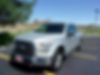 1FTEW1EP0GKF06135-2016-ford-f-150-0