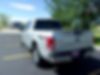 1FTEW1EP0GKF06135-2016-ford-f-150-2