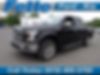 1FTEW1EP5HFC16483-2017-ford-f-150-0