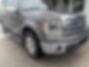 1FTFW1CT1DKG19060-2013-ford-f-150-0