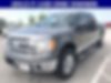 1FTFW1ET3DFD01883-2013-ford-f150-2