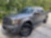 1FTFW1CF2CFC06971-2012-ford-f-150-0