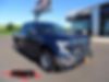 1FTEW1EP3HKD00308-2017-ford-f150-0